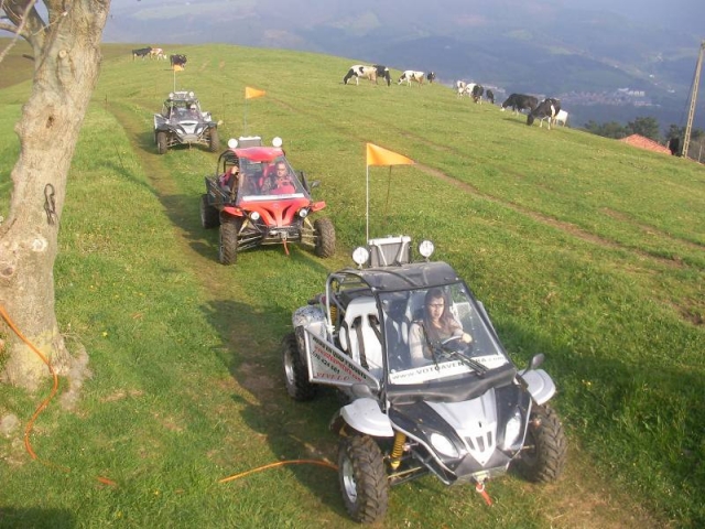  We have 8 buggies 